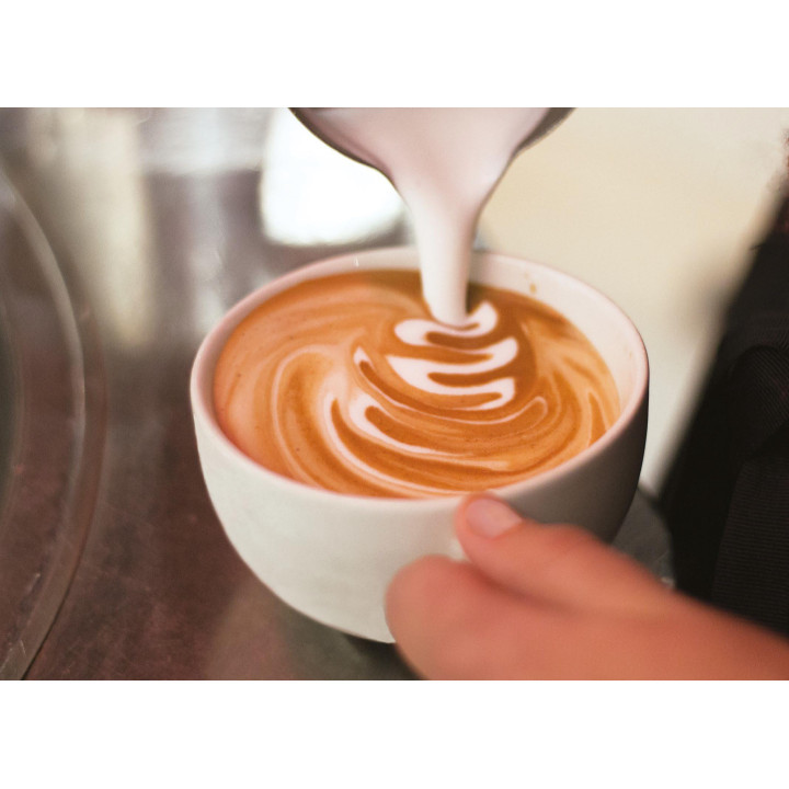 Ekspres do kawy 2-grupowy EX2 2GR | biały | 2,8 kW | 515x575x460 mm