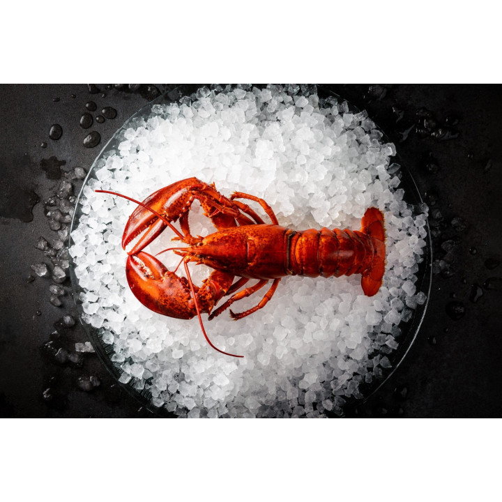 Łuskarka do lodu Hoshizaki FM-1800ALKE-R452-SB | 1800 kg/24h | chłodzona powietrzem | płatki lodu