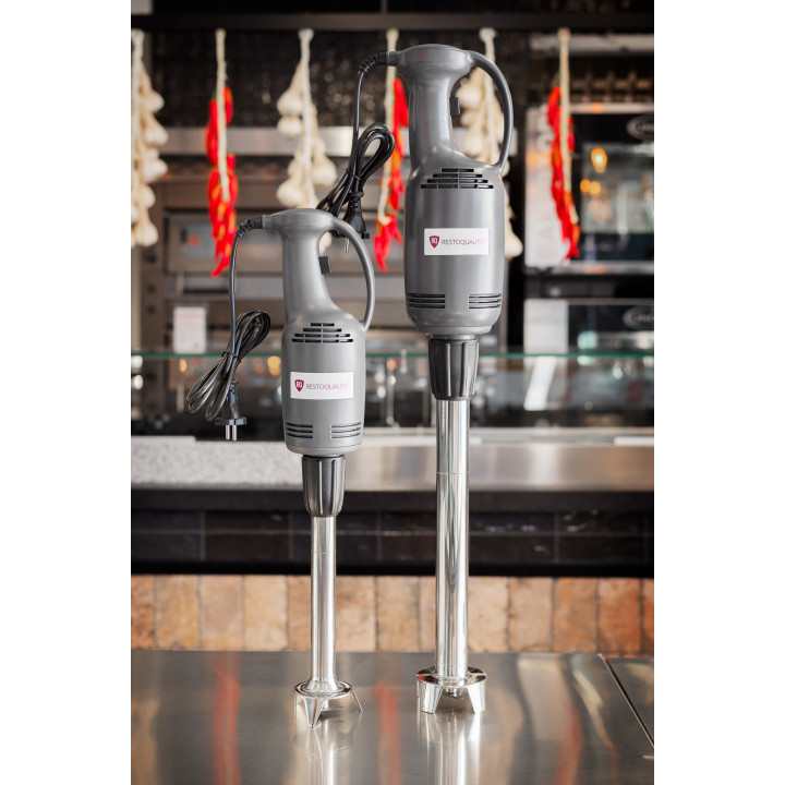 Mikser ręczny profesjonalny | regulacja obrotów | napęd | 0,4 kW | 146x120x370 mm | RQL40-B