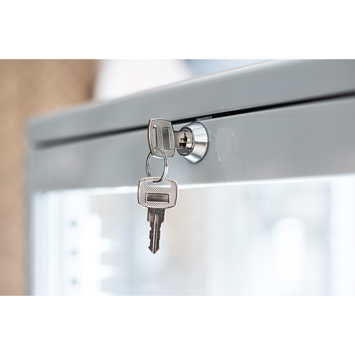 Witryna chłodnicza | cukiernicza | nablatowa | 78 l | RT82WE (RT79)