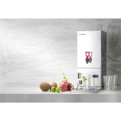 Automatyczny, przepływowy warnik do wody Evergreen 10 l, Barmatic