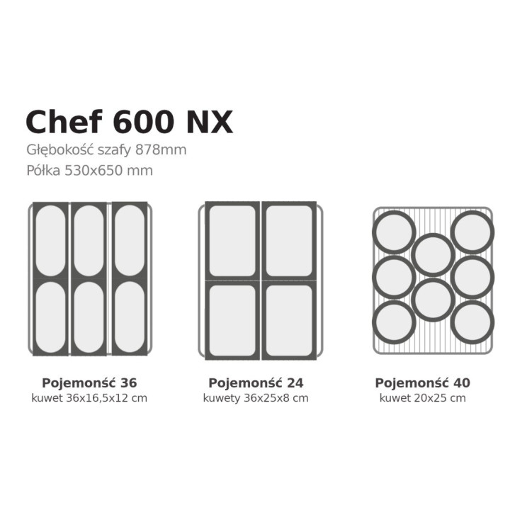 Szafa mroźnicza na lody Mondial Chef 600 NX