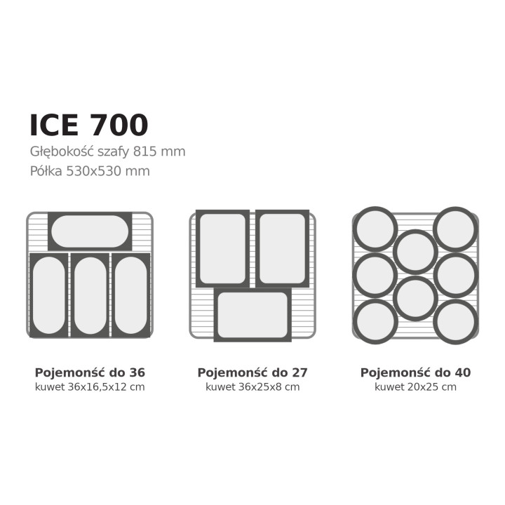 Szafa mroźnicza na lody Coldline ICE 700 -30°C