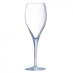 Kieliszek do szampana 260ml Oenologue Expert