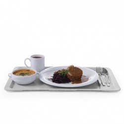 Taca poliestrowa  GN 1/2